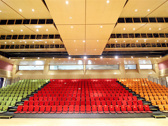 體育場館的座椅顏色搭配