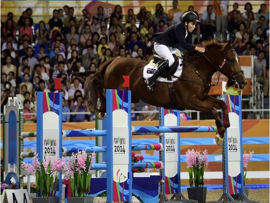 綠蛙看臺正式亮相南京青奧會馬術比賽