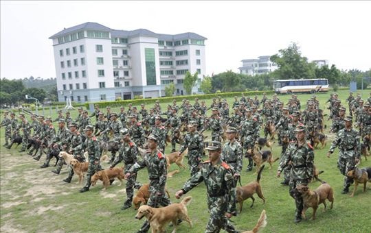 廣州武警警犬訓(xùn)練基地固定看臺(tái)