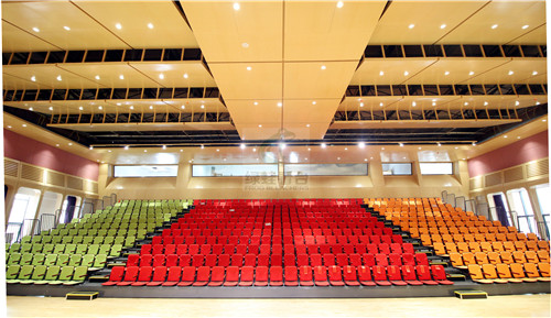 綠蛙成功落戶于樂灣國際實(shí)驗(yàn)小學(xué)多功能廳