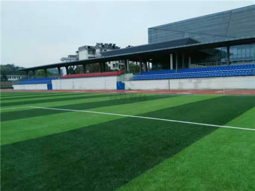 江西省貴溪市第一中學(xué)體育場(chǎng)選用綠蛙看臺(tái)座椅