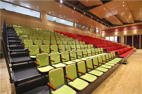 綠蛙成功落戶于樂灣國際實(shí)驗(yàn)小學(xué)多功能廳