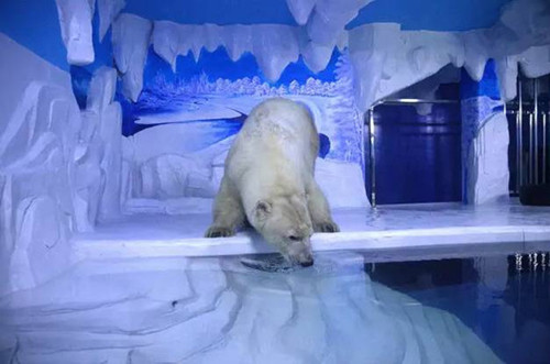 綠蛙看臺進駐多彩貴州城貴陽龍川極地海洋世界