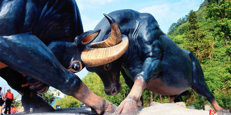 云臺山斗牛場，綠蛙看臺帶您引爆腎上腺集成應用，現(xiàn)場感受力的較量探討！