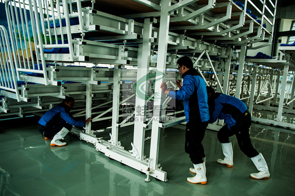 綠蛙可移動(dòng)式伸縮看臺(tái)座椅