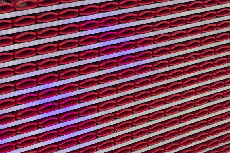 湛江北師大附屬學(xué)校體育館看臺(tái)