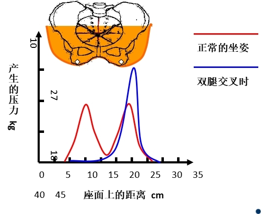 坐姿分析和看臺座椅設(shè)計(jì)的知識