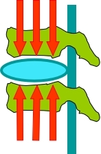 坐姿分析和看臺座椅設(shè)計(jì)的知識