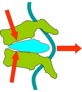 坐姿分析和看臺座椅設(shè)計(jì)的知識