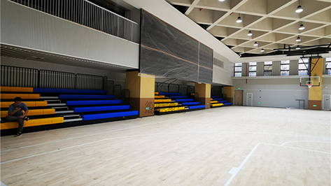 深圳沙壆學(xué)校體育館看臺座椅 深圳沙壆學(xué)校體育館看臺座椅