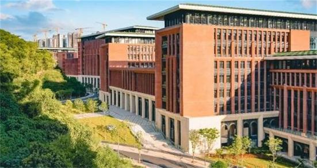 中山大學(xué)深圳校區(qū)體育館游泳館看臺(tái)座椅