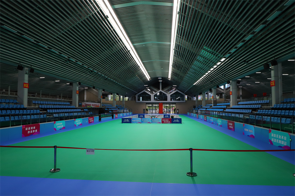 大亞灣區(qū)奧林匹克體育公園看臺座椅